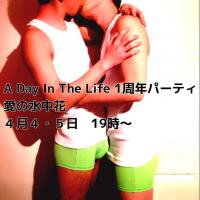 A Day In The Life １周年パーティ  - 640x640 290.1kb