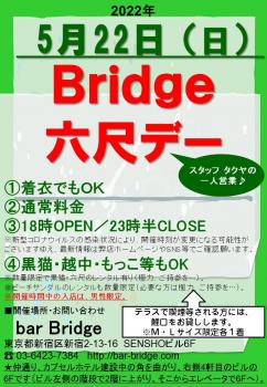 Bridge 六尺デー　2022年5月開催  - 720x1040 222.2kb