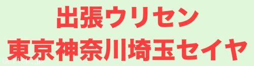 出張ウリセン東京神奈川埼玉セイヤ - 東京都 新宿2丁目 出張 売り専 - セイヤ