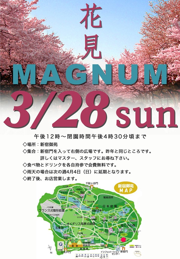 MAGNUM　花見 600x865 217.5kb