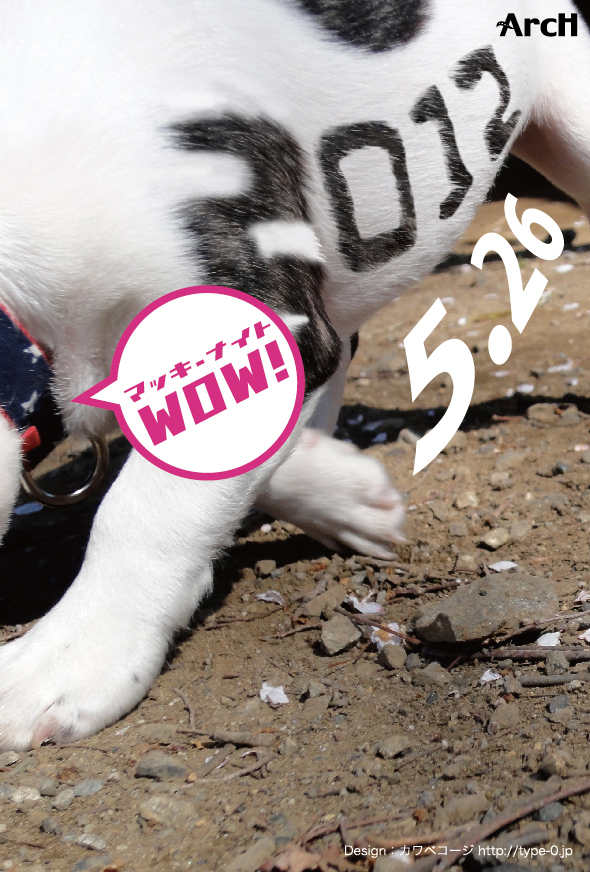 マッキーナイトWow! 2012 590x872 479.2kb