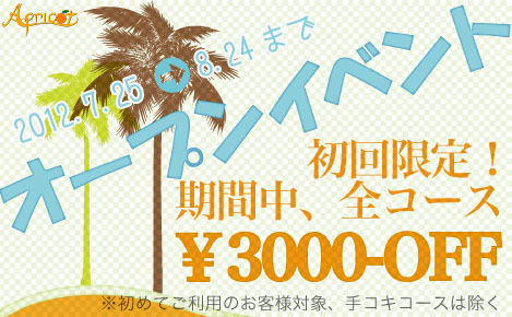 【期間限定】新規お客様3000円offキャンペーン【Apricot】 469x290 87.8kb