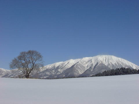 １月、２月の開室日のお知らせ