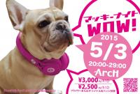 マッキーナイトWow! 2015 1166x788 186.2kb