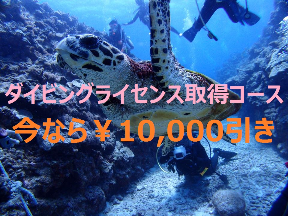 『ダイビングライセンス取得コース』今なら１万円OFF