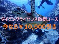 『ダイビングライセンス取得コース』今なら１万円OFF 960x720 269kb