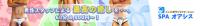 2月限定割引実施中 468x60 35.8kb