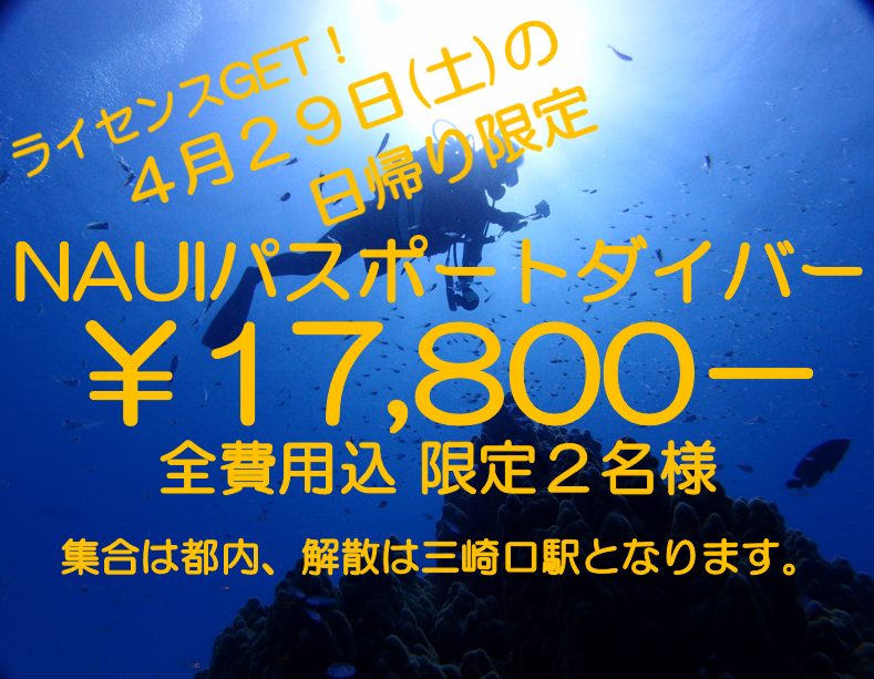 ４月２９日(土)でライセンスGET！限定２名様