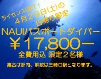 ４月２９日(土)でライセンスGET！限定２名様  - 789x613 945.6kb