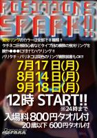 POSITIONS SPARK  - 595x842 115.8kb