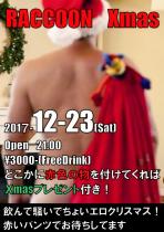 RACCOON Xmas 724x1024 119.3kb
