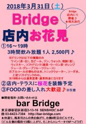 Bridgeお花見（店内開催）  - 720x1040 208.4kb