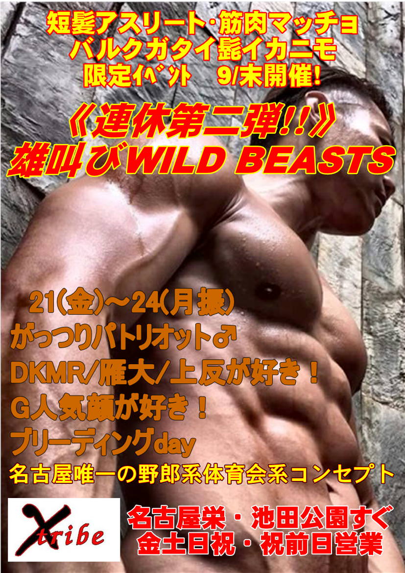 雄叫びWILD BEASTS 第二弾！