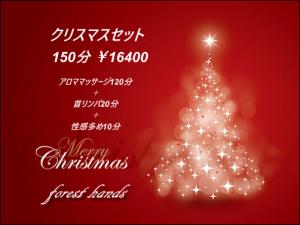 フォレストハンズ　クリスマスセット 502x377 86kb