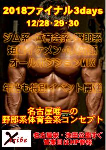 年末オールポジションMIX 3days 827x1169 203kb