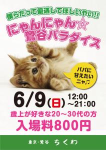 21時まで営業！ にゃんにゃんパラダイス 595x842 363.3kb