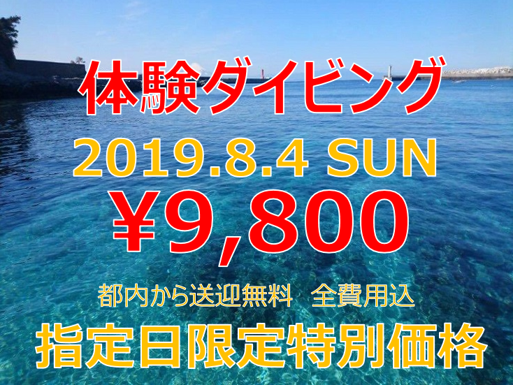 8/4(日)体験ダイビングが激安！