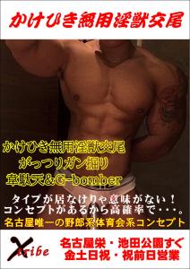 かけひき無用淫獣交尾 827x1169 199kb