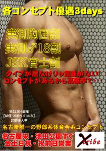 各コンセプト優遇3days 827x1169 213kb