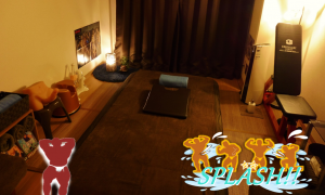 Twitter フォロワー特典サービス 903x541 1003.8kb
