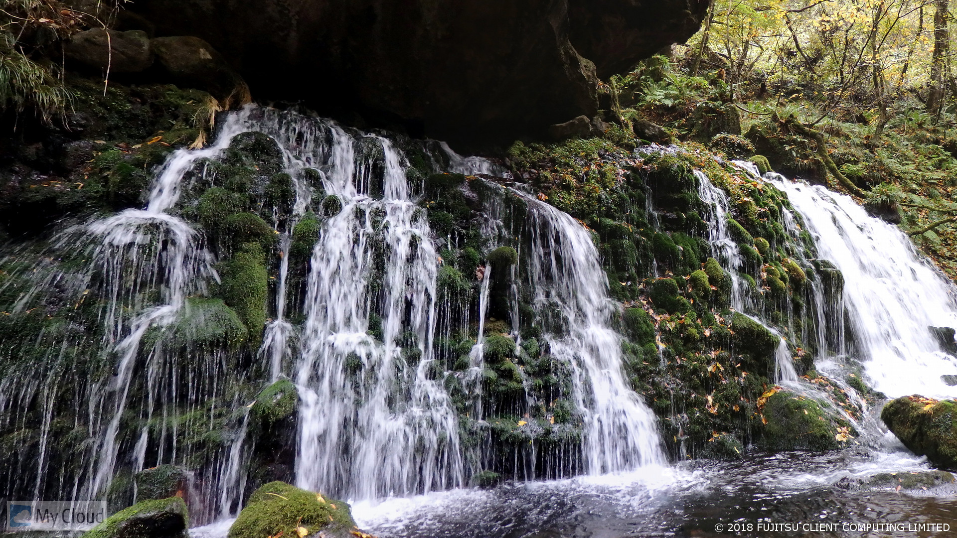 閉店のお知らせ