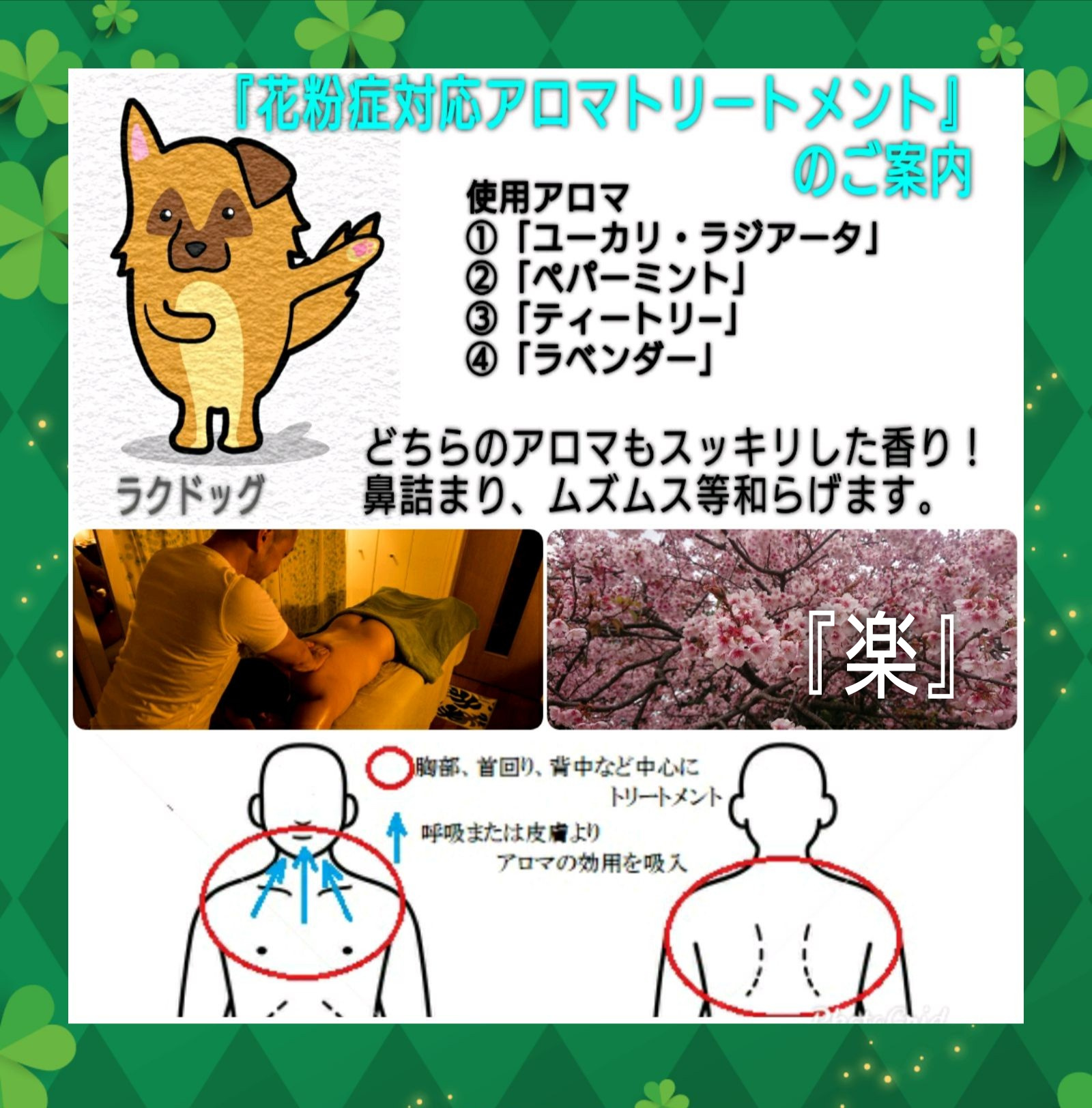 期間限定『花粉症対応アロマトリートメント』