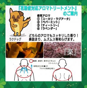期間限定『花粉症対応アロマトリートメント』  - 1600x1624 613.4kb - 