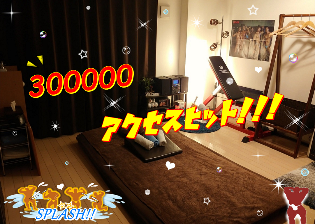 300000アクセスヒット！