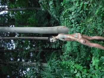 10月26日～11月2日　沖縄でボディペイント、全裸ヨガ、マッサージ！！ 512x384 116.8kb