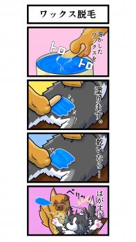 『楽』VIOワックス脱毛＆ リラクゼーションコース 開設！ 2160x3841 742.8kb