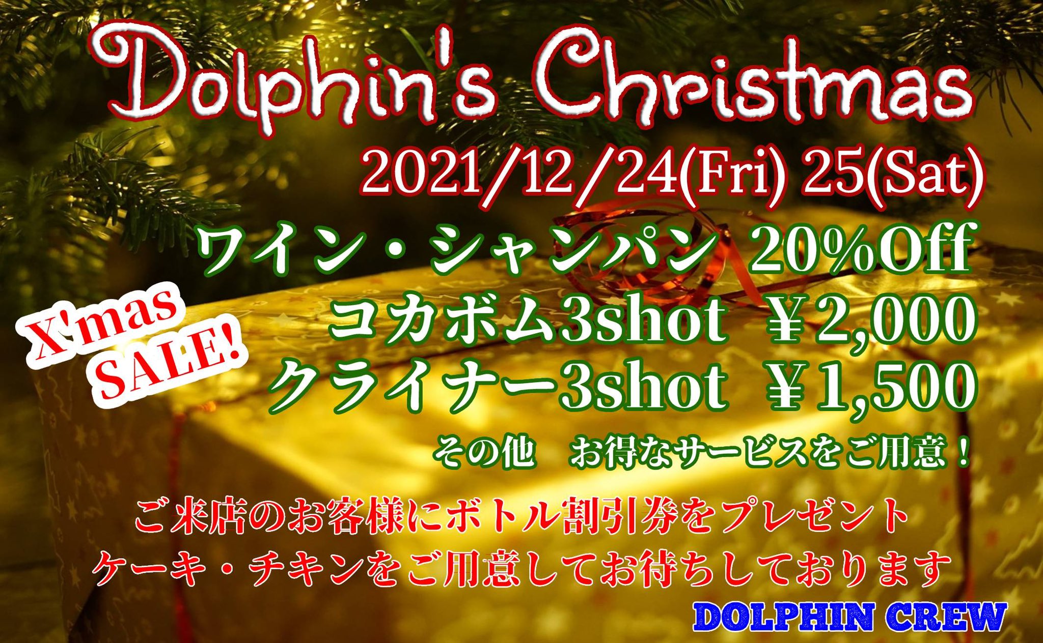Dolphin's Christmas