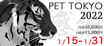 【割引イベント】1月15日〜1月31日  - 900x400 167kb