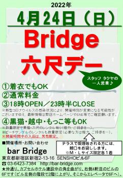 Bridge 六尺デー　2022年4月開催  - 720x1040 220.8kb
