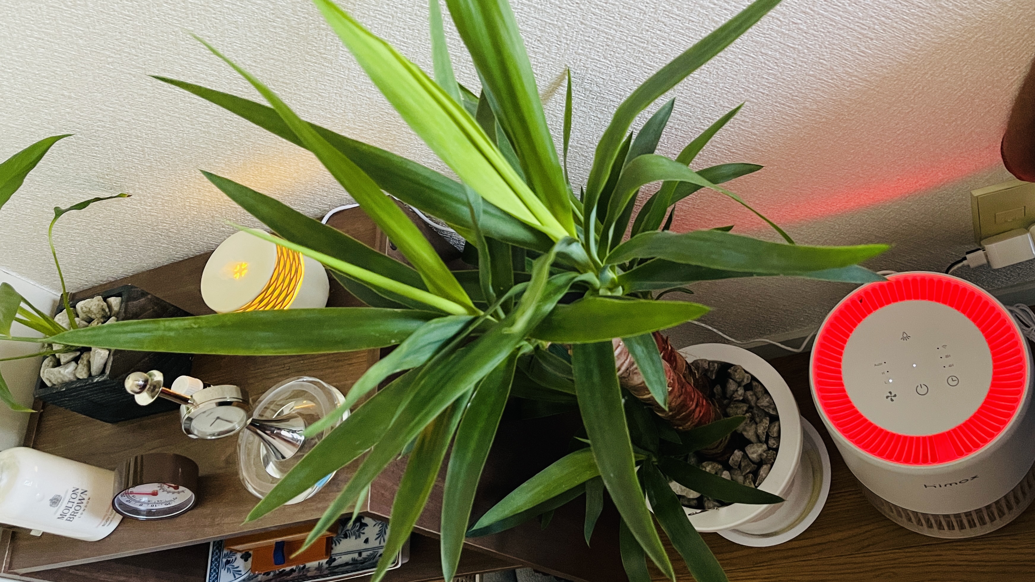 赤羽　個室　salon