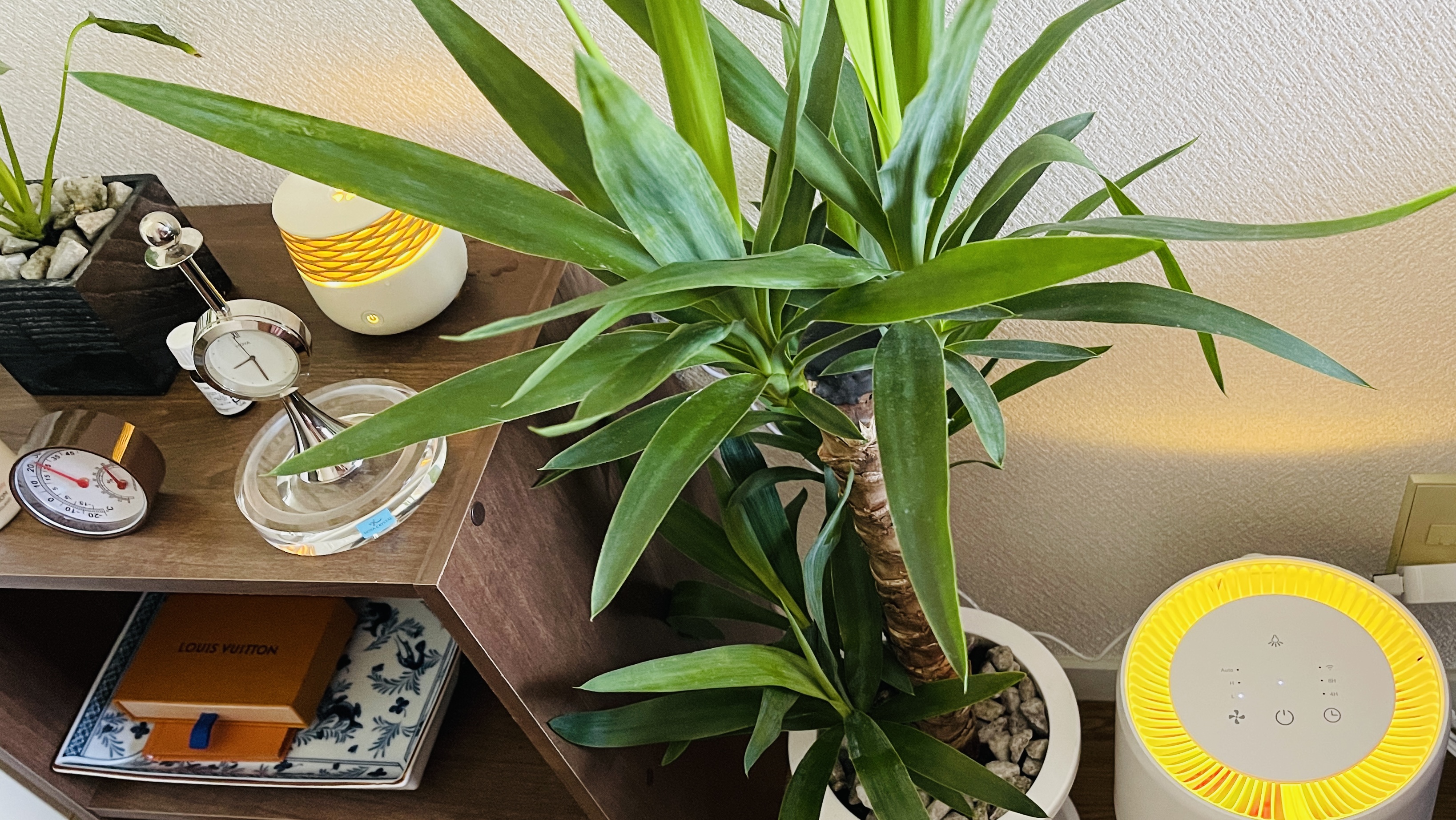 東京　赤羽　マッサージ