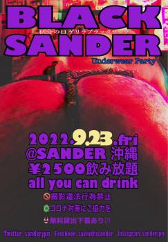 秋分の日ゲリラBLACK SANDER  - 1422x2048 375.2kb