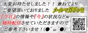 メールマガジンｗ 800x300 131.7kb