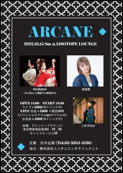 沢木企画PRESENTS. ARCANE 1432x2016 331.2kb