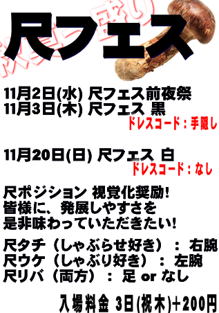 尺フェス 白 (11月20日 日)