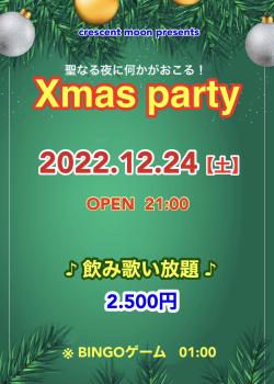 Xmas Party  - 1200x1681 256.1kb