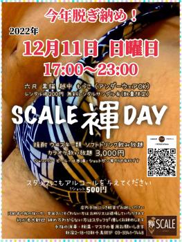 SCALE褌DAY  - 1258x1677 352.6kb