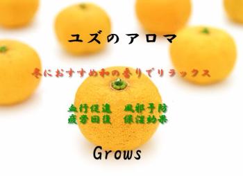 柚子のアロマ 549x399 59.4kb