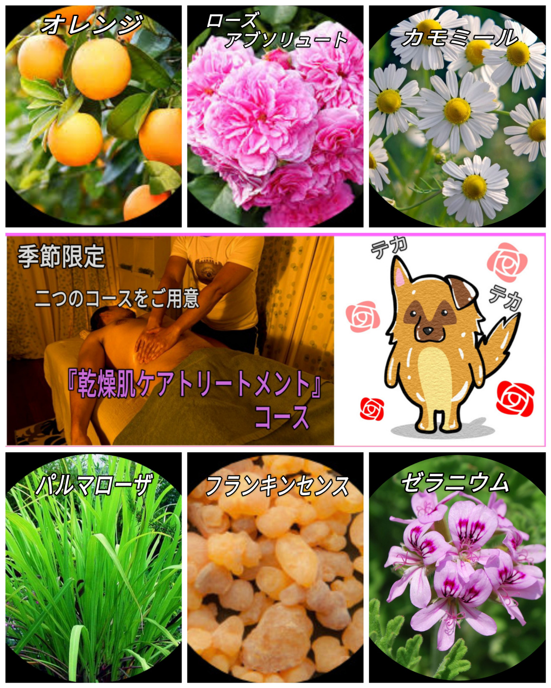 西新宿アロマオイルマッサージ『楽』