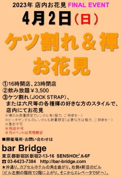 春の bar Bridge 店内お花見WEEK FINAL EVENT「ケツ割れ＆褌お花見」  - 720x1040 171.7kb