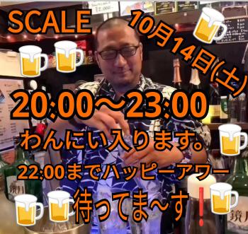 SCALE一人で店を開けます 1920x1817 1865.2kb