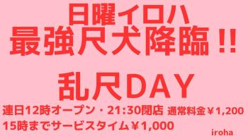 2月 日曜イロハ・最強尺犬降臨・乱尺DAY 1600x900 118.4kb
