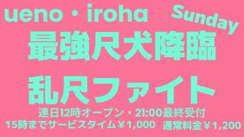 4月 日曜イロハ・最強尺犬降臨・乱尺ファイト《マーカー装着でアピールを》＊日曜日はちょっと早めの21:30閉店 1600x900 100.2kb