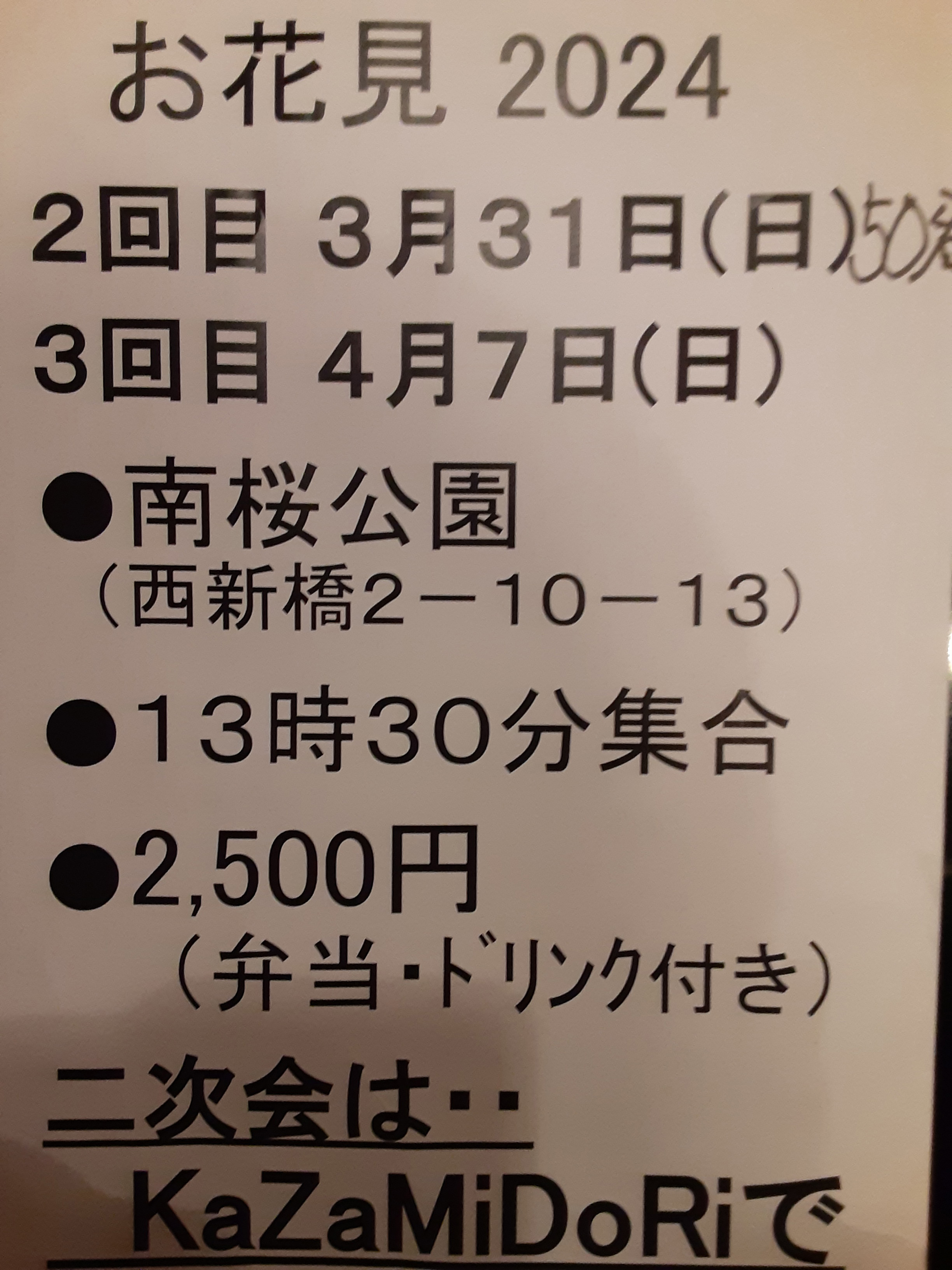 新橋kazamidoriお花見宴会