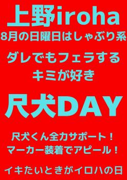 8月 日曜イロハ・尺犬DAY 1587x2245 260.4kb