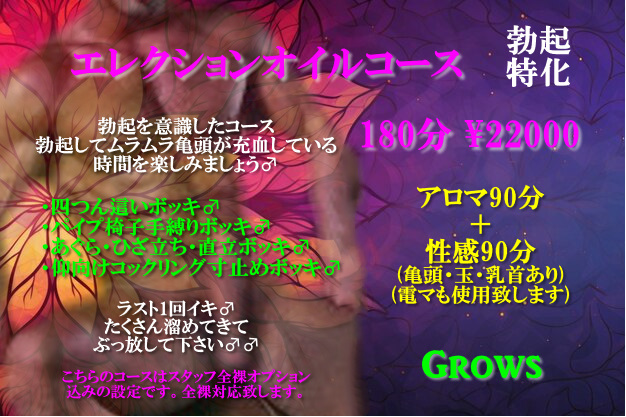 勃起特化♂エレクションオイルコース180分